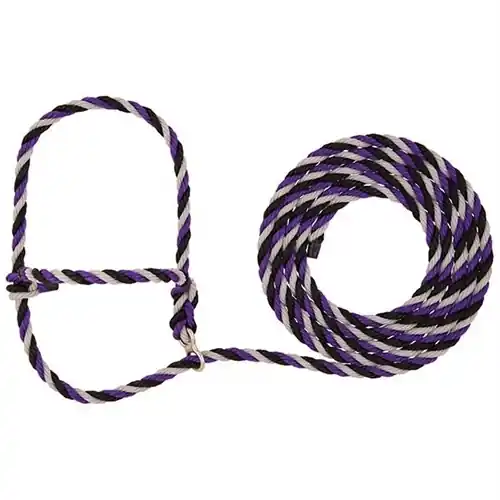 Weaver Poly Rope Breaking Halter - Purple/Black/Grey