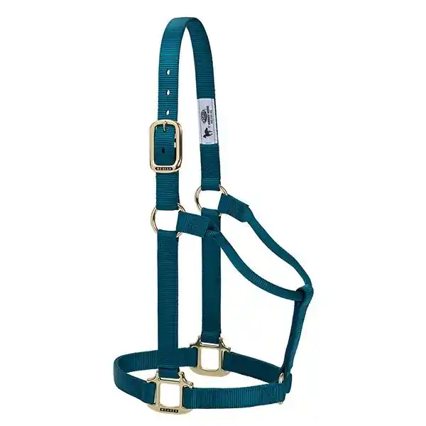 Weaver Original Non-Adjustable Halter 1" - Yearling Teal