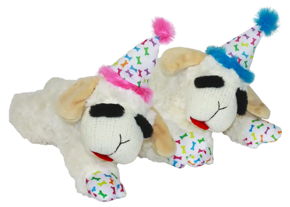 multipet 10.5" Lamb Chop® with Birthday Hat Dog Toy