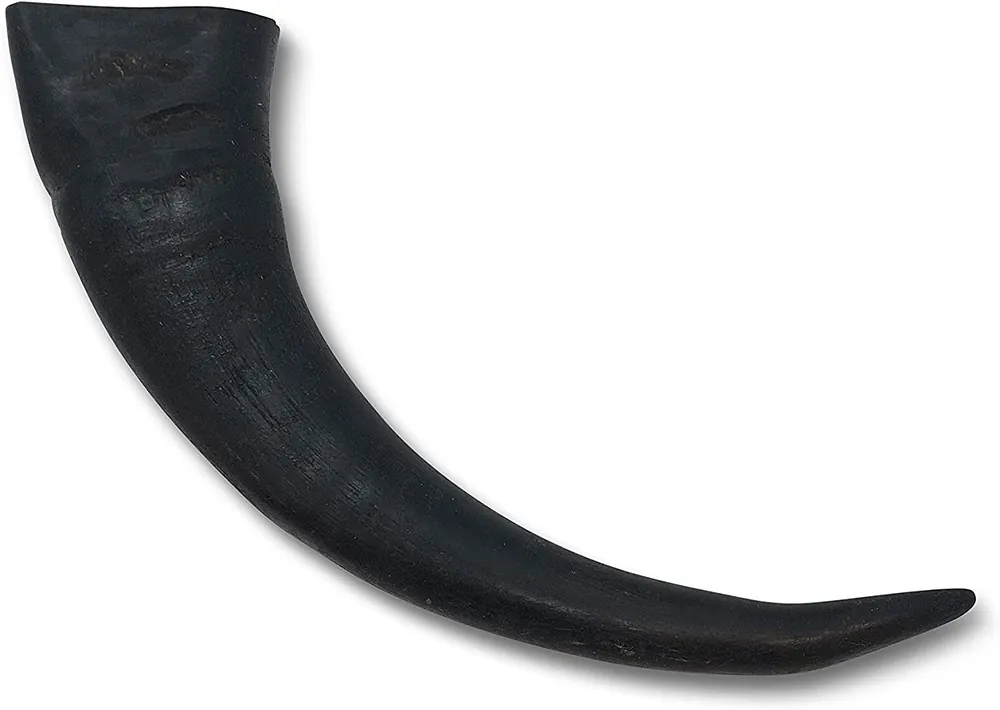 Wild Eats Large Water Buffalo Horn Dog Treat
