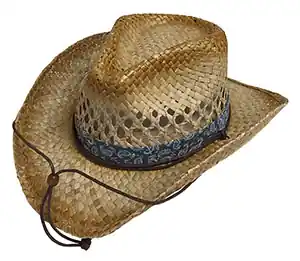 Broner Wild Wild West Kids Cowboy Hat, Blue Bandanna Print Band OSFM