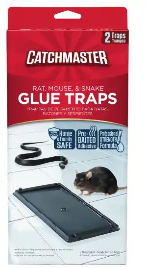 Catchmaster Rat, Mouse, and Snake Glue Traps 2 Pack