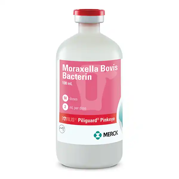 Merck Bovilis Piliguard Pinkeye Cattle Vaccine - 50 dose