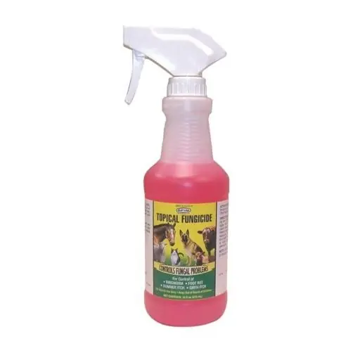 Durvet-equine Topical Fungicide With Sprayer 1 Pint