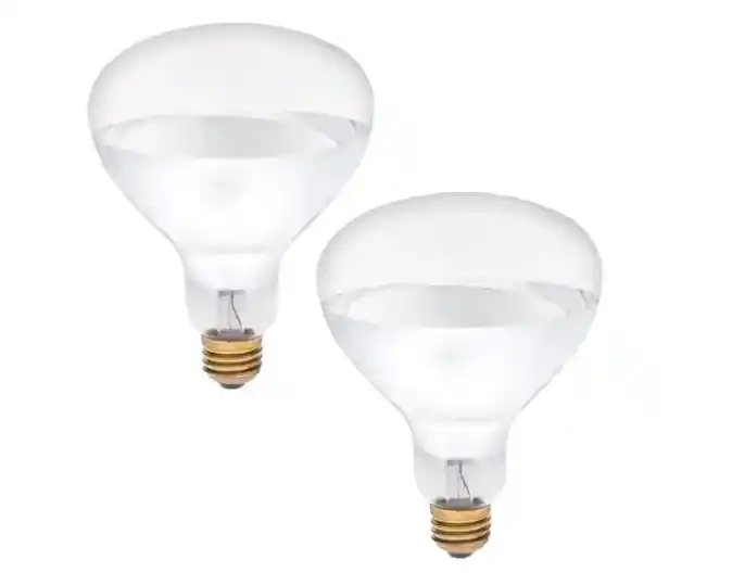Brooder 250 Watt Heat Lamp Bulb, 2 Pack