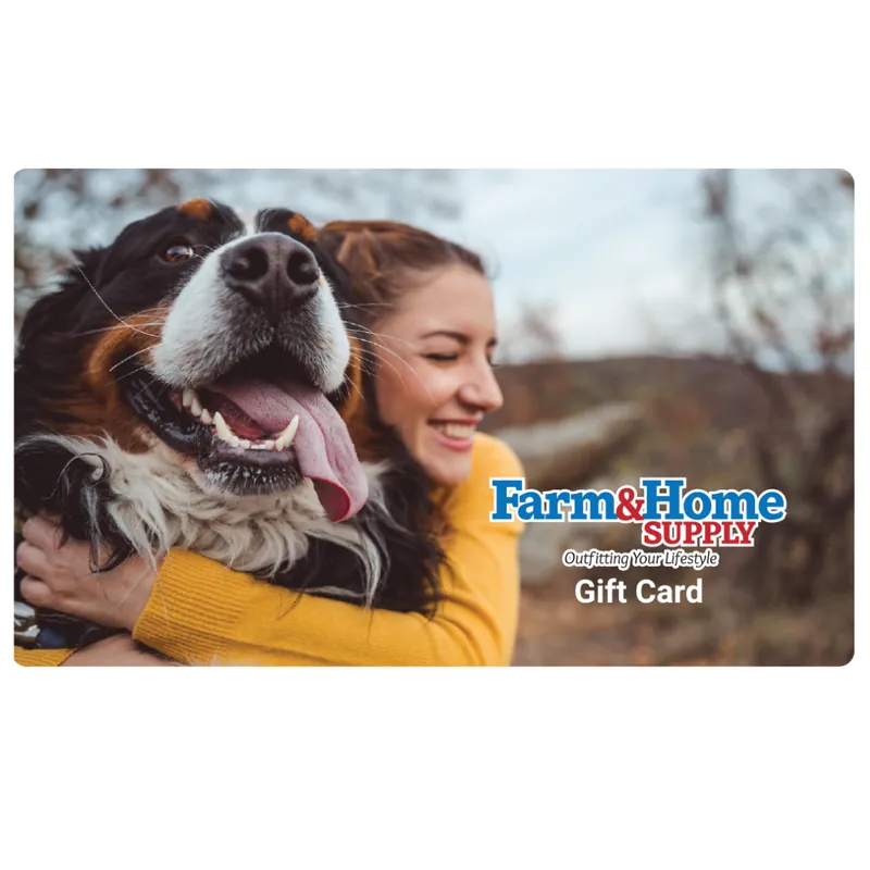 Gift Cards Reloadable Physical Store Gift Cards