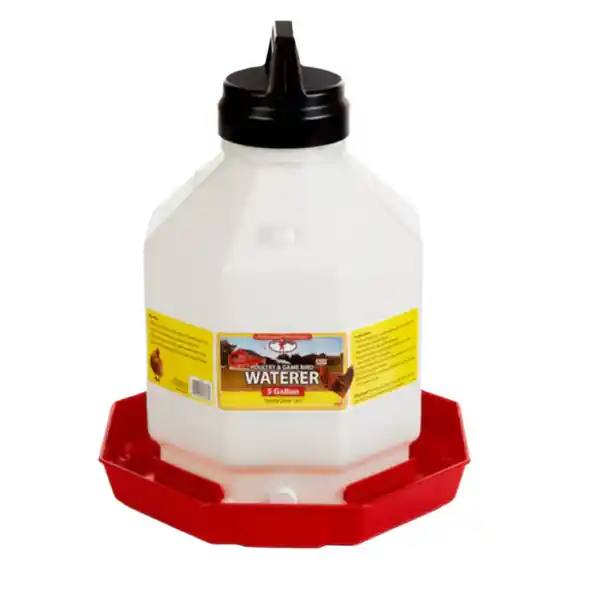 Little Giant 5 Gallon Plastic Poultry Waterer PPF5