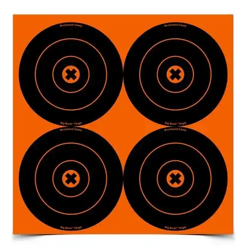 Birchwood Casey Big Burst 6in Bullseye Target 36612