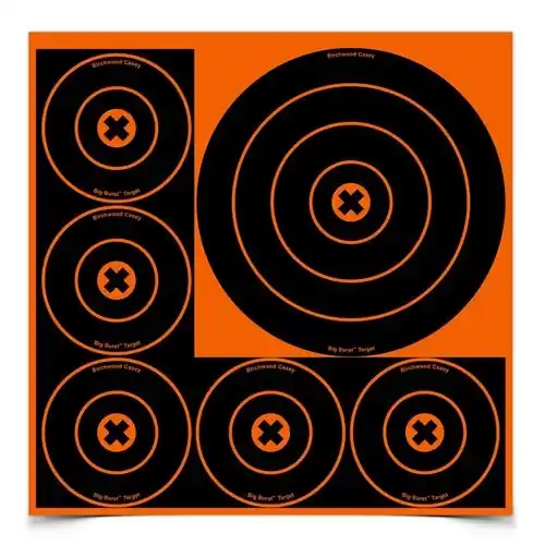 Birchwood Casey Big Burst 8in and 4in Bullseye Target 36818