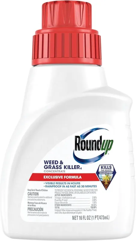 Roundup 16 fl. oz. Weed and Grass Killer Concentrate
