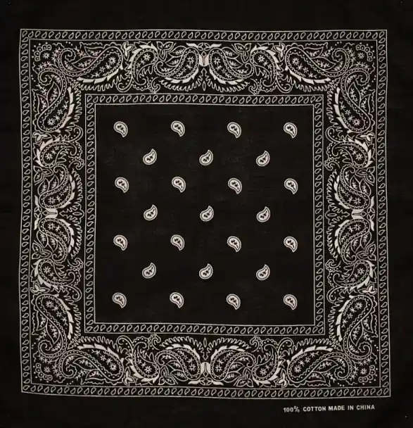 Artex Black Paisley Bandana 8B001