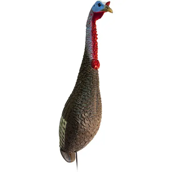 Flextone Funky Chicken Turkey Decoy
