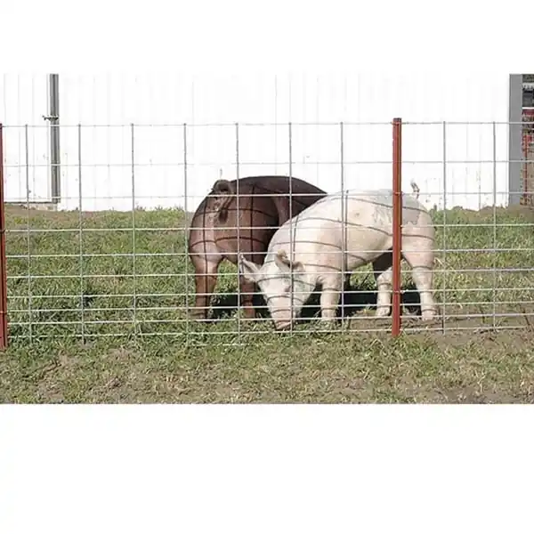 OK Brand 34in x 16ft 4ga 11-Line Hog Panel