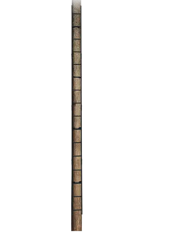 Big Dog 20‘ Climbing Stick Ladder