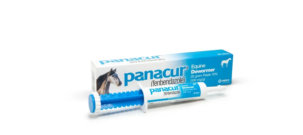 Panacur Equine Dewormer 10% Paste 25g
