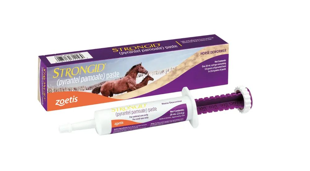 Ivesco Strongid Paste Horse Wormer