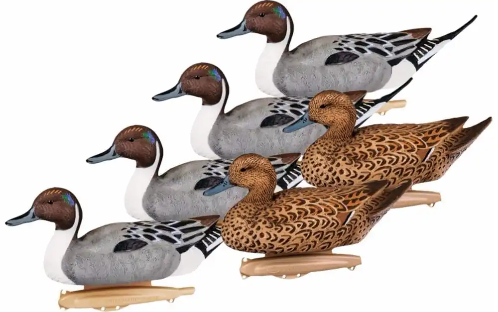 Flambeau Storm Front 2 Classic Floater Pintail Decoys - 6 Pack