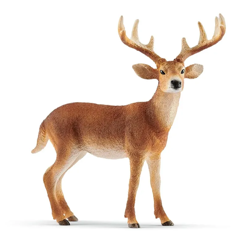 Schleich White-Tailed Buck Toy Figurine 14818