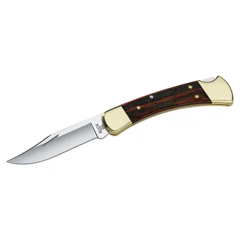 Buck 110 Folding Hunter Knife