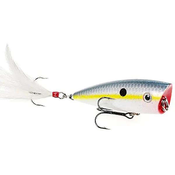 Strike King KVD Splash Sexy Shad Topwater Popper
