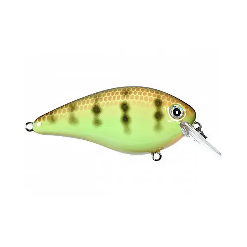 Strike King KVD Square Bill 1.0 3/8oz Chartreuse Perch Crankbait