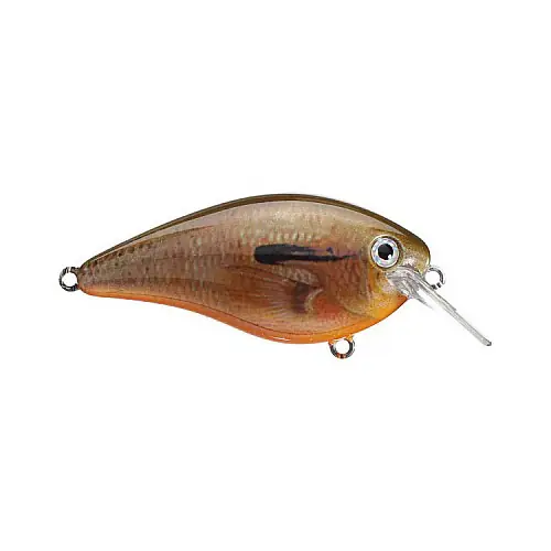 Strike King KVD Square Bill 1.0 3/8oz Orange Bream Crankbait