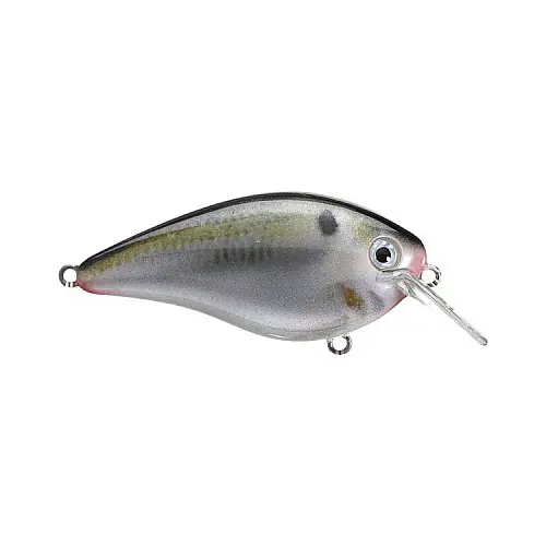 Strike King KVD Square Bill 1.0 3/8oz Natural Shad Crankbait