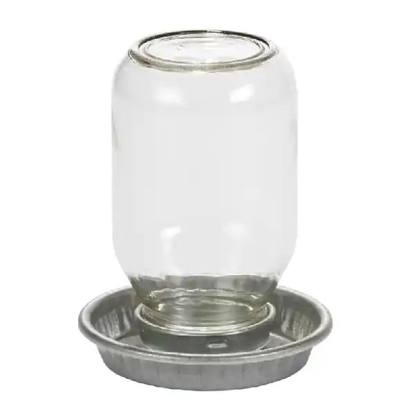 Little Giant Mason Jar Baby Chick Waterer