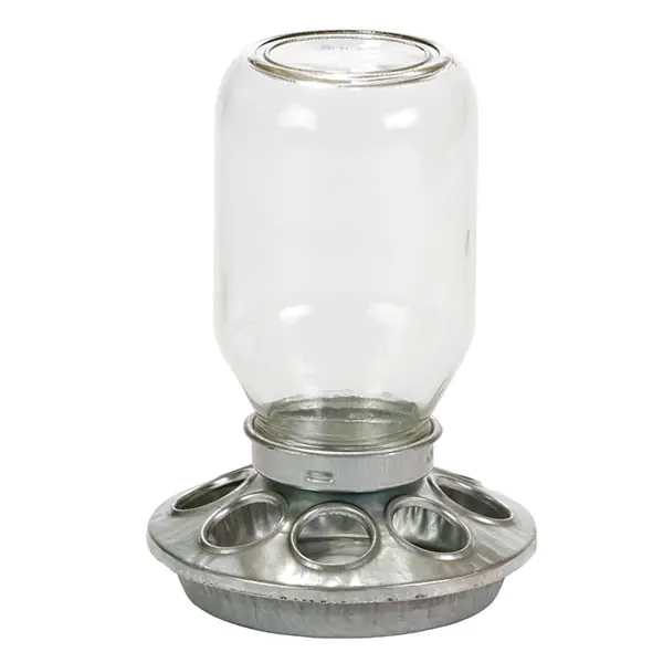 Little Giant Mason Jar Baby Chick Feeder