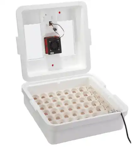 Little Giant Digital Egg Incubators with Fan and Egg Turner - Model 11500