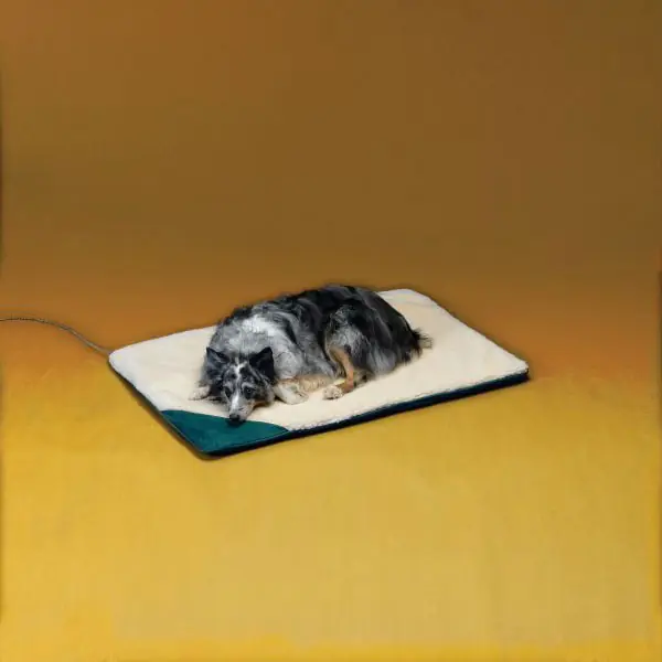 API Large Heated Pet Bed