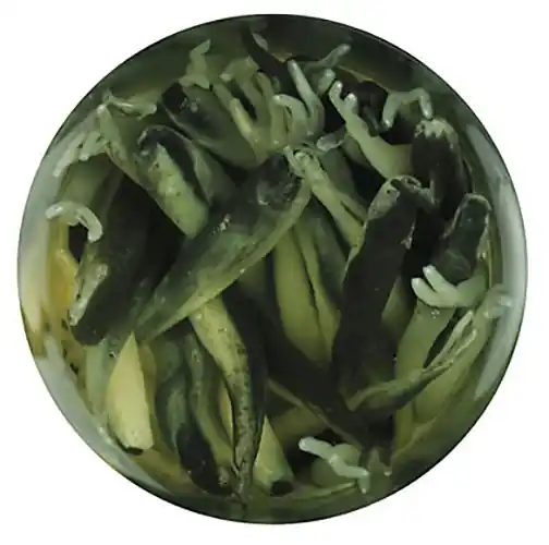 Berkley Gulp! Alive! Minnow 1" Black Shad Bait