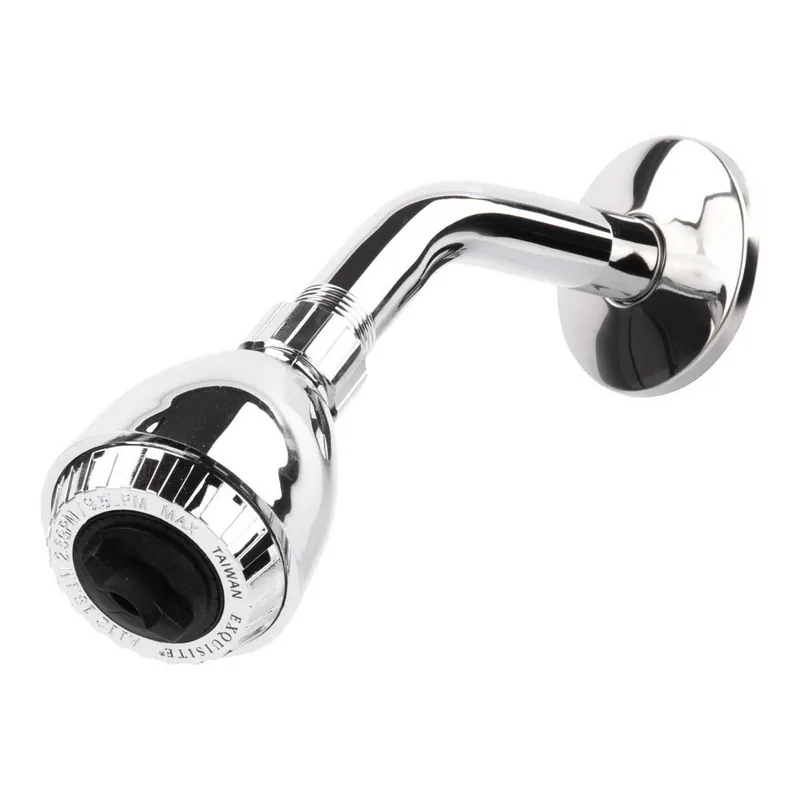 Exquisite 2-Function Shower Head