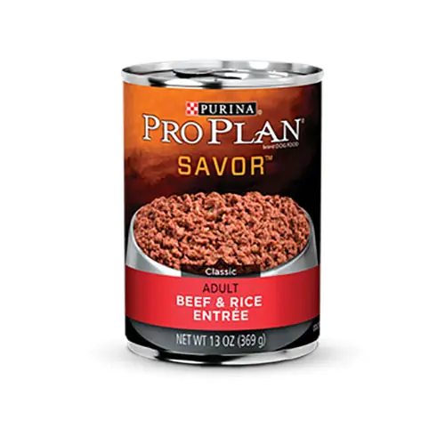 Purina Pro Plan Savor Adult Beef & Rice Entrée Wet Dog Food 13oz