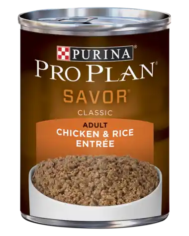 Purina Pro Plan Savor Adult Chicken & Rice Entrée Wet Dog Food 13oz