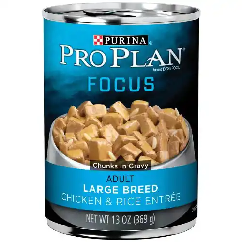 Purina Pro Plan Focus Adult Large Breed Chicken & Rice Entrée Wet Dog Food 13oz