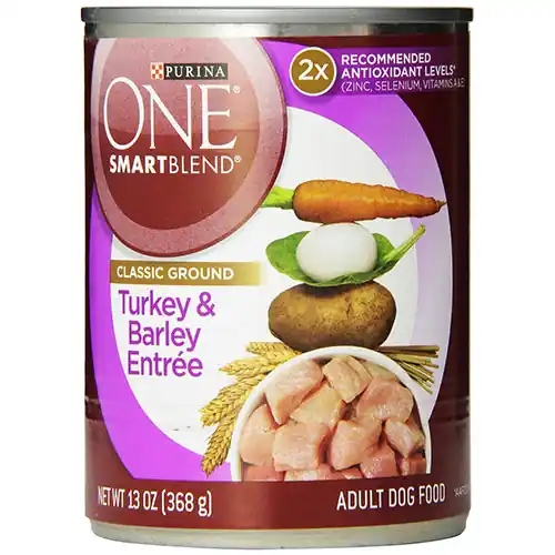 Purina One Smartblend Adult Turkey & Barley Entrée Wet Dog Food 13oz
