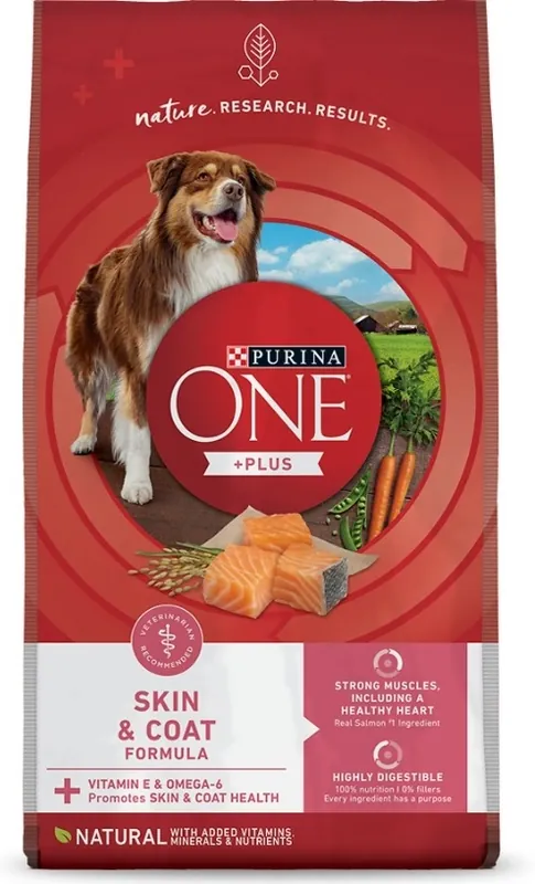 Purina ONE SmartBlend Skin & Coat Formula Adult Premium Dry Dog Food