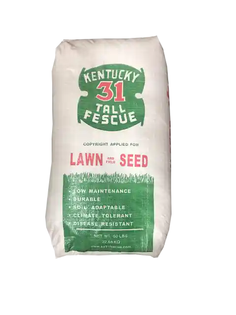 Kentucky 31 Tall Fescue Grass Seed 50lb