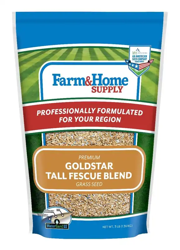 Farm & Home Supply Goldstar Tall Fescue Blend Grass Seed 3lb
