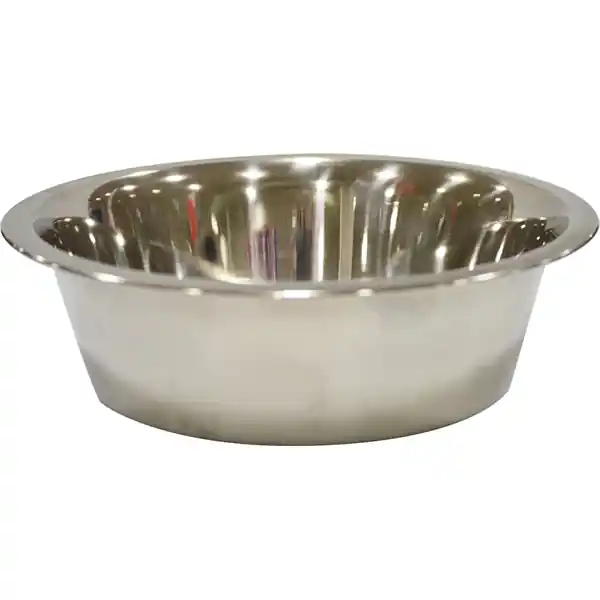 Scott Pet Stainless Steel Food/Water Bowl