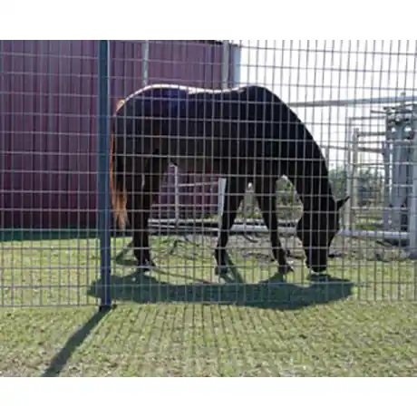 OK Brand 6ga Horse Panel 5‘ x 16‘