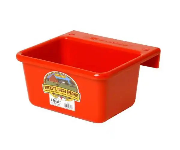 Little Giant 6 Quart Plastic Mini Feeder MF6
