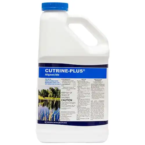Cutrine Plus 1 Gallon Algaecide