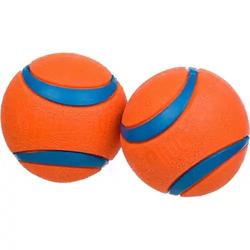 Chuckit! Ultra Rubber Ball Dog Toy Medium 17001