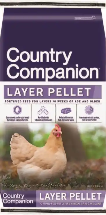Nutrena Country Feeds 16% Layer Feed 50lb Bag
