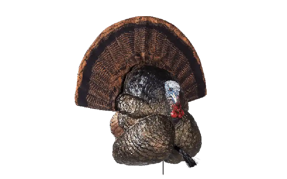 Flextone Thunder Creeper Strut Turkey Decoy