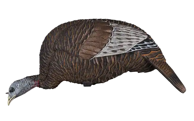 Flextone Thunder Chick Feeder Turkey Decoy