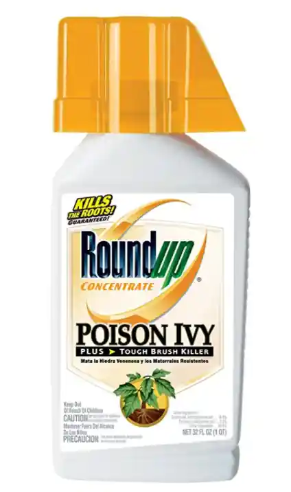 Roundup Poison Ivy Plus Tough Brush Killer Concentrate, 32-Ounce