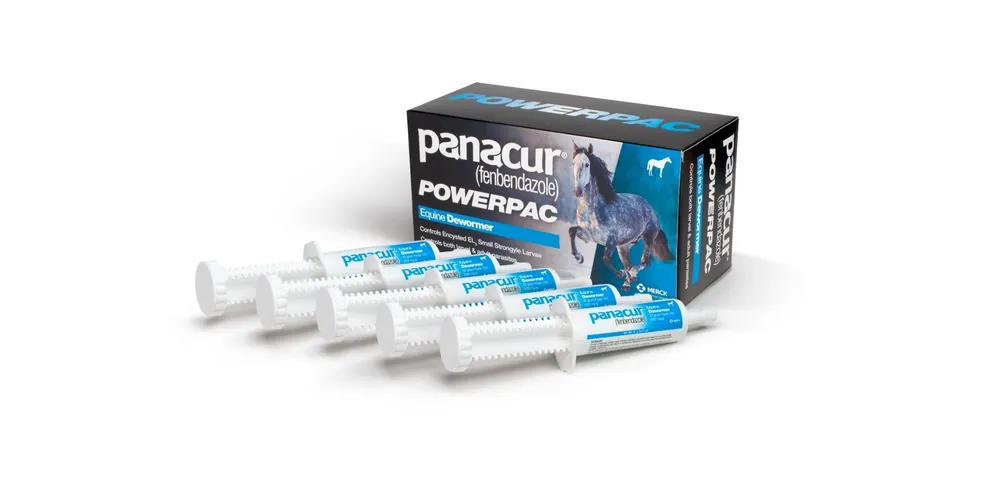 Panacur Powerpac Equine Dewormer